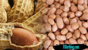 Kacang Tanah Memiliki Manfaat Bagi Kecantikan