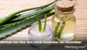 Manfaat Dari Aloe Vera Untuk Kesehatan dan Kecantikan
